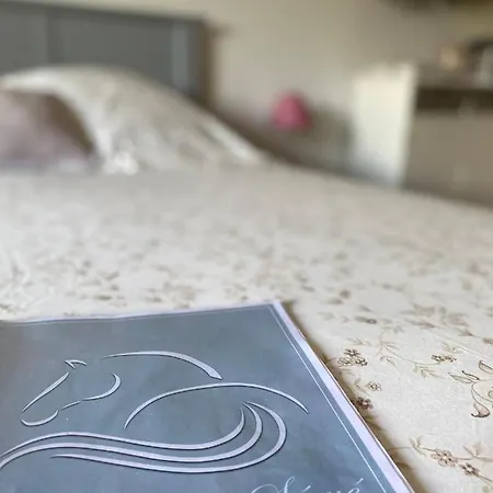 Les Ecuries Du Seque Bed & Breakfast Saint-Martin-de-Seignanx