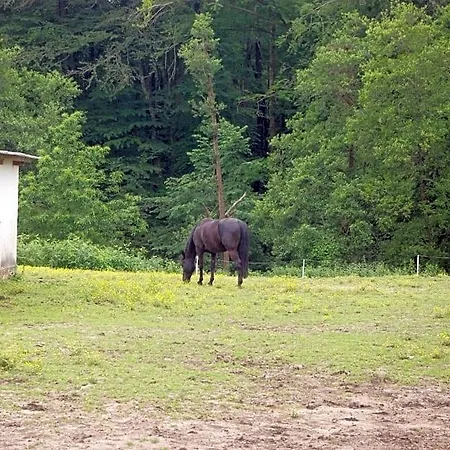 Les Ecuries Du Seque 3*