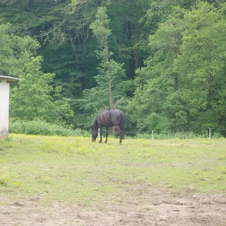 Panzió Les Ecuries Du Seque
