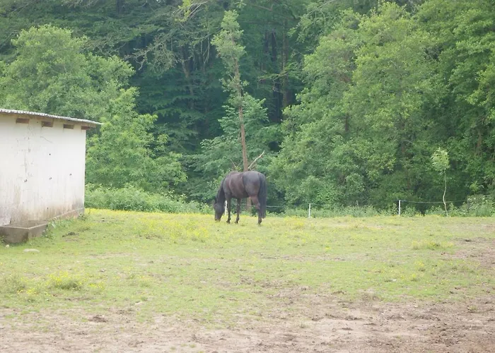 Bed & Breakfast Les Ecuries Du Seque